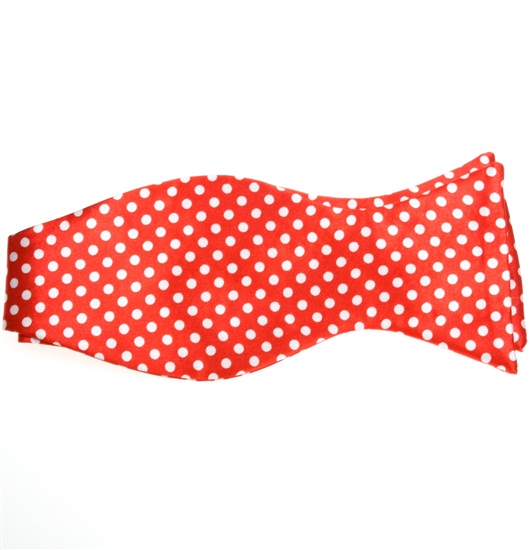 Cravate à Pois Rouge et Blanc
