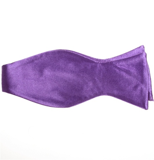 Cravate Noeud Papillon Violette