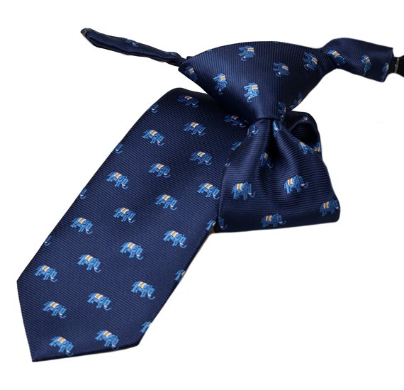 Cravate Enfant Bleue avec Éléphants