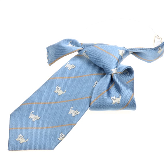 Cravate Enfant Bleue avec Chatons Blancs