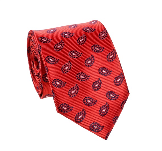 Cravate Rouge avec Motif Cachemire Bleu Marine