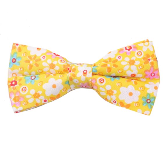 Noeud Papillon Jaune Fleurs