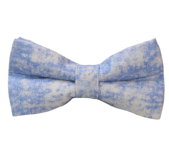 Papillon Bleu Ciel Dégradé