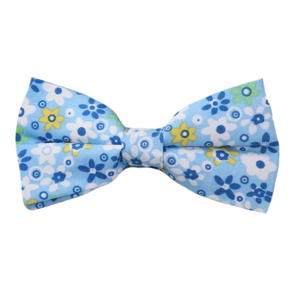 Noeud Papillon Bleu Ciel Fleurs Bleues