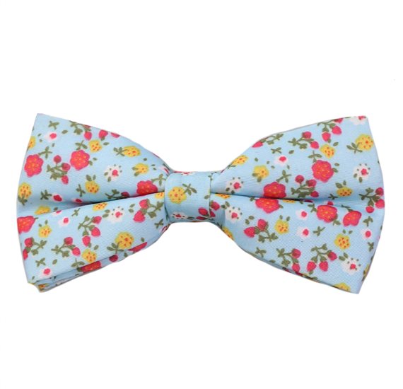 Noeud Papillon Bleu Ciel Fleurs Rouges