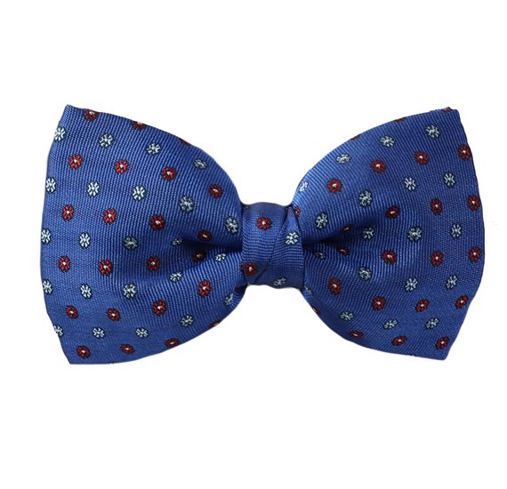 Noeud Papillon Bleu France Marguerites Bordeaux