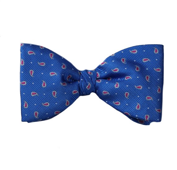 Papillon Bleu Royal Paisley Rouge et Gris