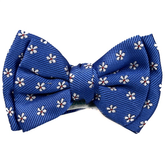 Noeud Papillon Bleu Ciel avec Marguerites
