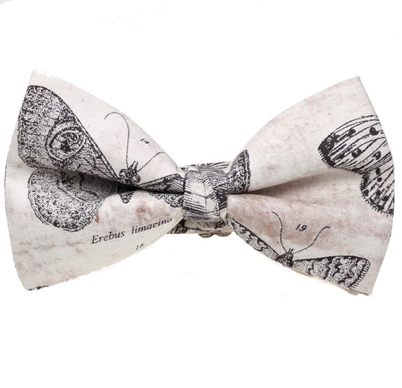 Papillon Beige avec Papillons