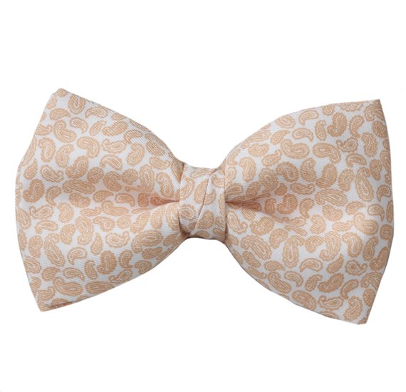 Noeud Papillon Beige Paisley