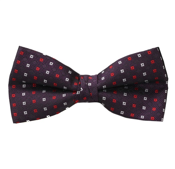 Noeud Papillon Aubergine à Motifs