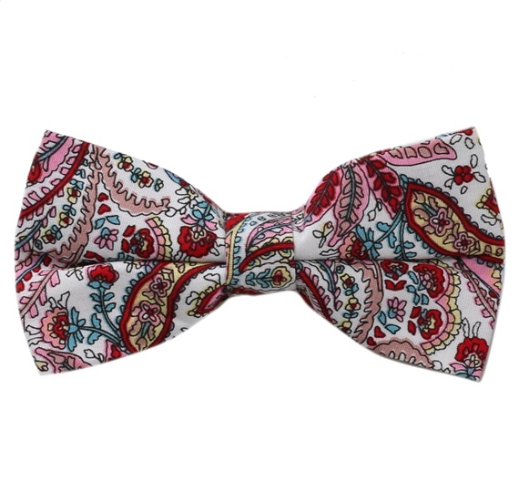 Noeud Papillon Blanc Cachemire Rose