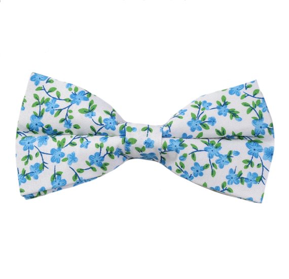 Noeud Papillon Blanc Fleurs Bleues