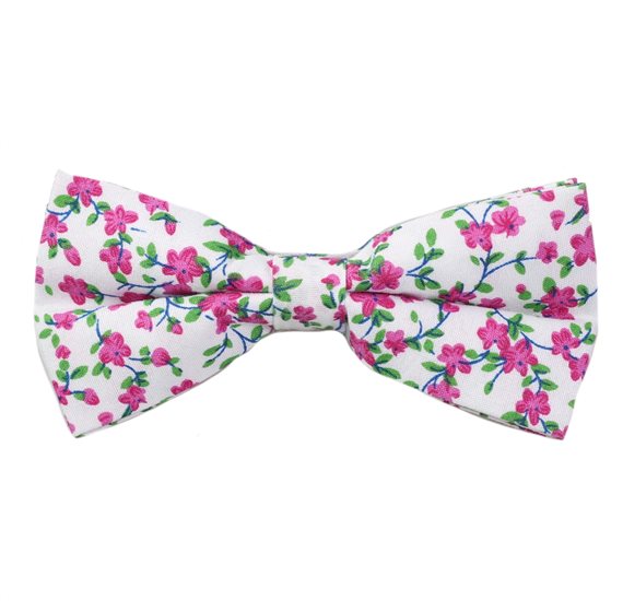 Noeud Papillon Blanc Fleurs Fuchsia