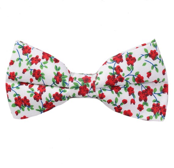 Noeud Papillon Blanc Fleurs Rouges