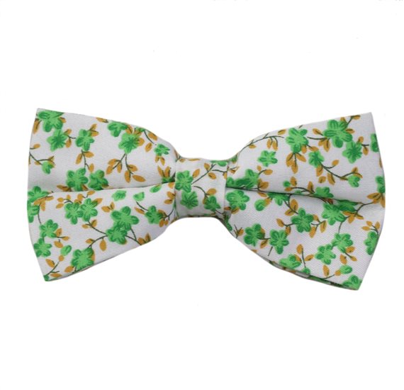 Noeud Papillon Blanc Fleurs Vertes