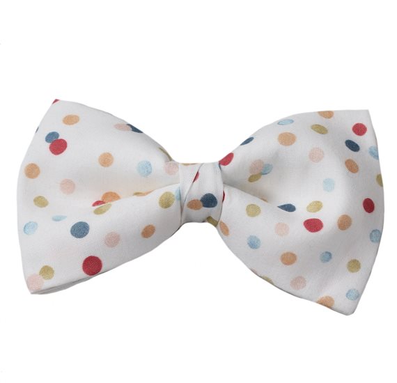 Noeud Papillon Blanc à Pois