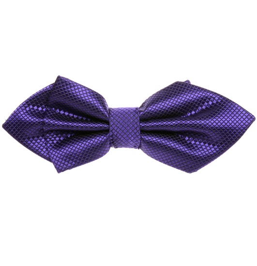 Noeud papillon Bogart Violet