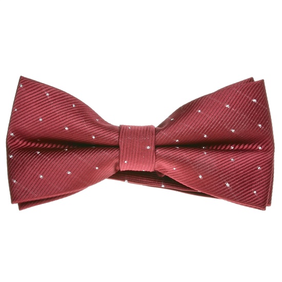 Noeud Papillon Bordeaux Pois Argent Habillé