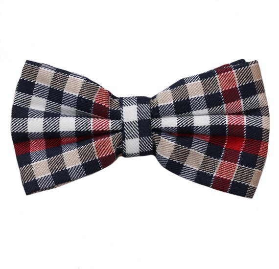 Noeud Papillon Carreaux Bleu Marine et Grenat