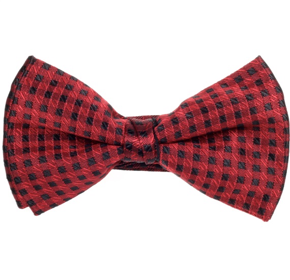 Noeud Papillon Carreaux Grenat et Noirs