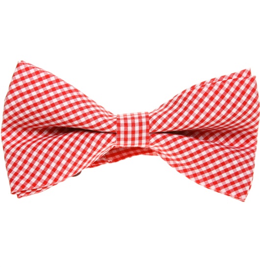 Noeud Papillon Vichy Blancs et Rouges