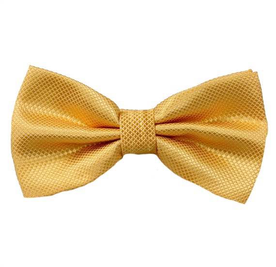 Papillon Élégant Jaune