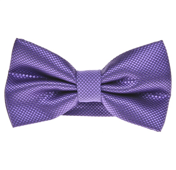 Papillon Élégant Violet Clair