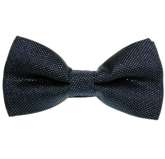 Noeud Papillon Fête Bleu Marine et Argent