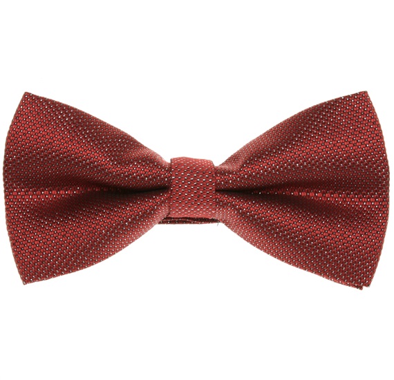 Noeud Papillon Fête Rouge et Argent