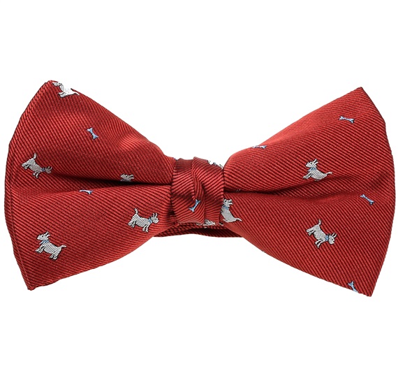 Noeud Papillon Grenat avec Schnauzer Blanc