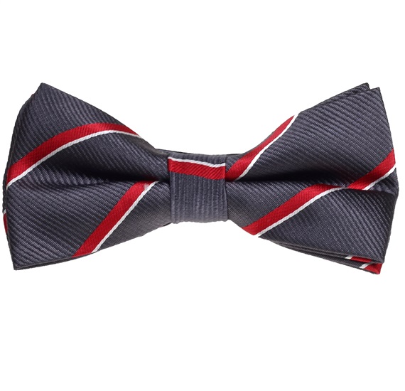 Noeud Papillon Gris Violet Rayures Rouges