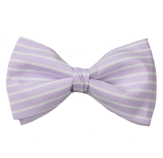Noeud Papillon Rayures Mauve