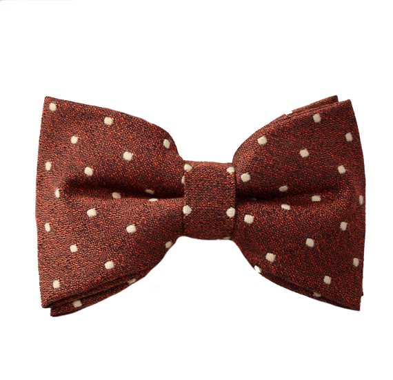 Noeud Papillon Marron Terre à Pois