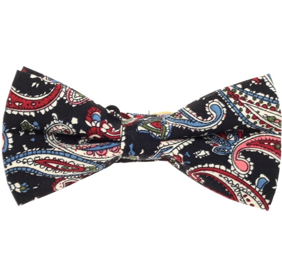 Noeud Papillon Noir Cachemire Grenat et Bleu