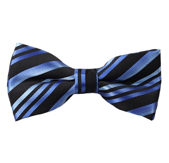 Noeud Papillon Noir Rayures Bleues