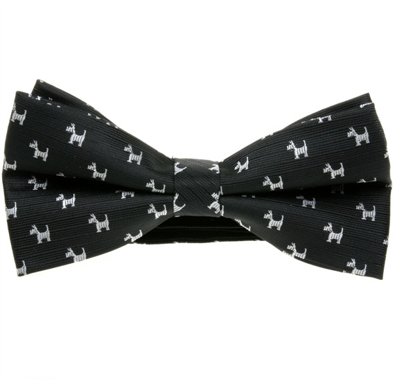 Noeud Papillon Noir Schnauzer Blanc