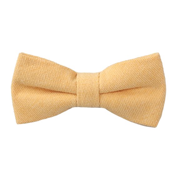 Papillon Enfant Jaune