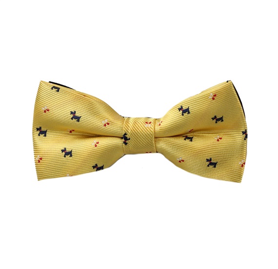 Papillon Enfant Jaune Schnauzer