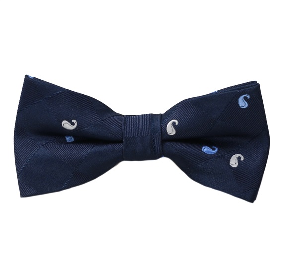 Noeud Papillon Enfant Bleu à Motif cachemire