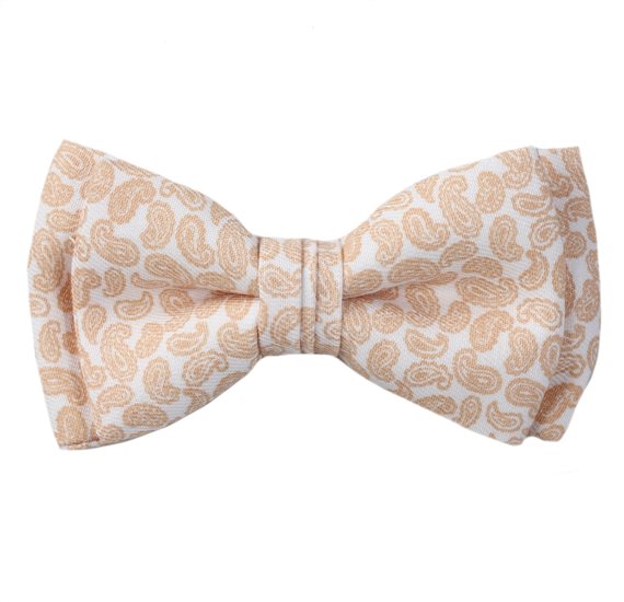 Noeud Papillon Enfant Blanc Paisley Beige