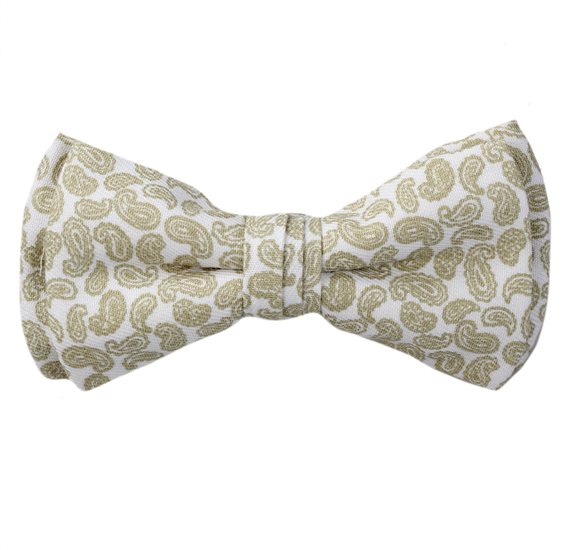 Papillon Enfant Blanc Paisley Vert