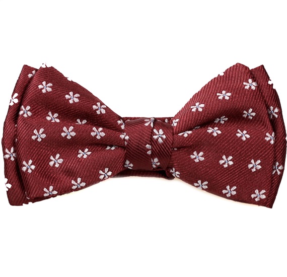 Noeud Papillon Enfant Bordeaux Marguerites