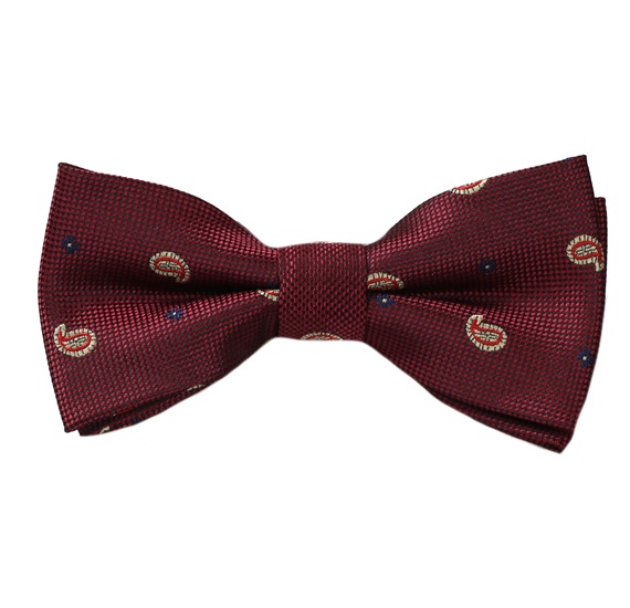 Noeud Papillon Enfant Grenat Cachemire