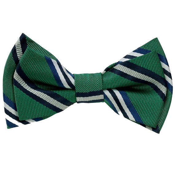 Noeud Papillon Enfant Rayures Vert, Bleu et Blanc