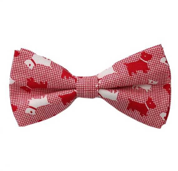 Noeud Papillon Enfant Rouge Schnauzers