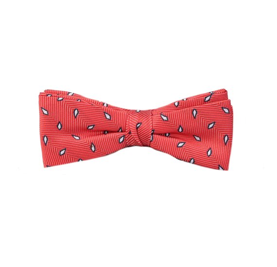 Noeud Papillon Enfant Rouge Corail Feuilles