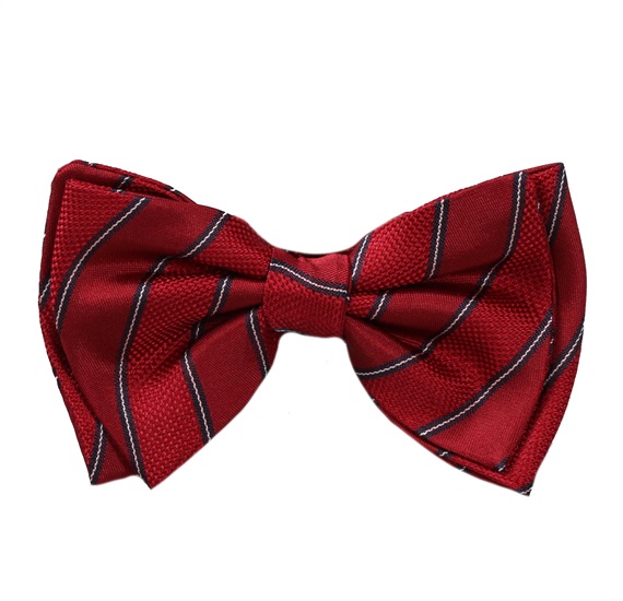Noeud Papillon Enfant Soie Grenat Rayures