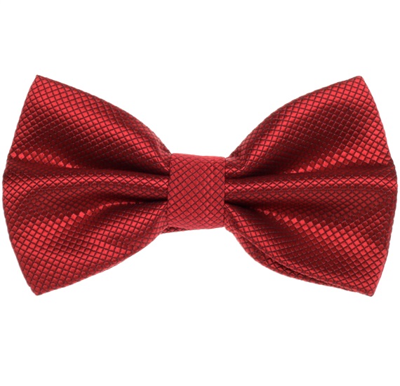 Noeud Papillon en Satin Bordeaux