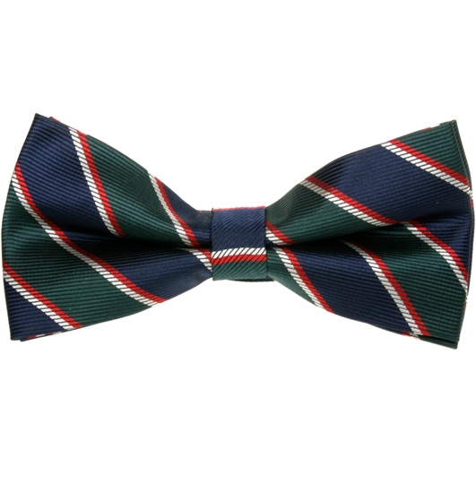 Noeud Papillon Rayures Bleu et Vert